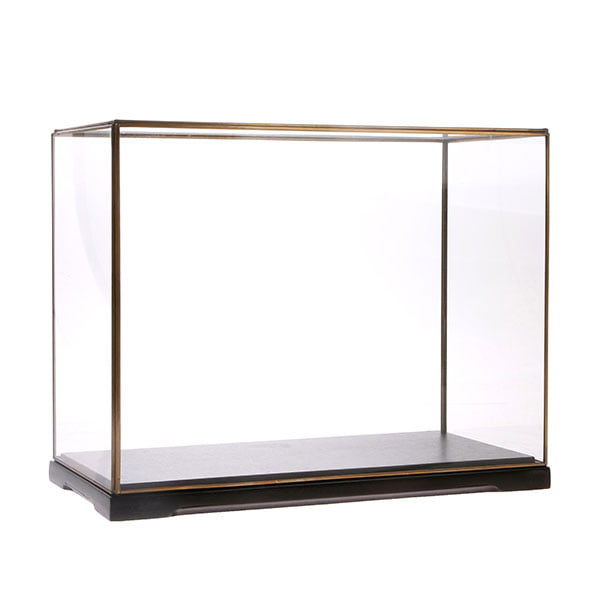 ACCESSORIES - rectangular glass dome L